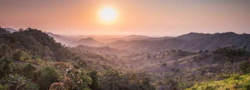 Fundación Natura realiza el lanzamiento de un webinar y un libro sobre  restauración ecológica de especies en bosque tropical. | FEDEMEDIOS